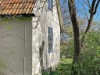 Bild 8 - Ude