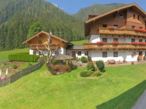 Bauernhof - 3 persons -  - Flachauwinklstraße - 5542 - Flachau