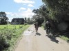 Billede 17