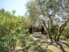 Image 28 - Outside