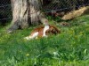 Bild 16