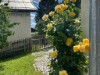 Billede 28 - Ude