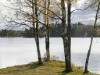 Bilde 3 - Ude