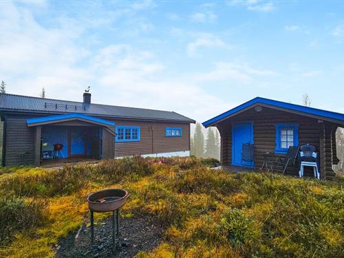 Holiday home - 8 persons -  - Stornesvegen - Tunhovd - 3630 - Rødberg