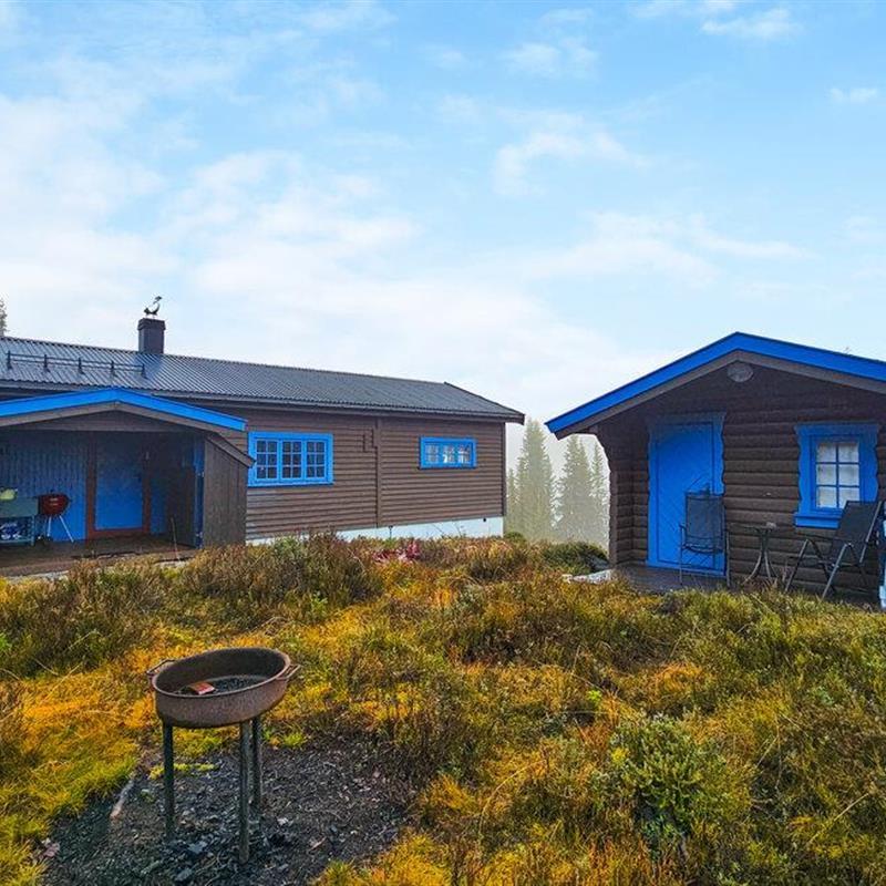 Sommerhus - 8 personer -  - Stornesvegen - Tunhovd - 3630 - Rødberg