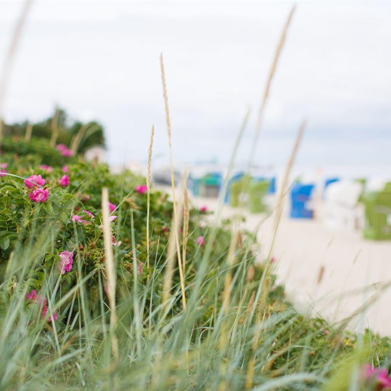 Ferielejlighed - 2 personer -  - Mühlenstraße - 25938 - Wyk