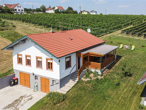 Feriehus - 8 personer -  - Oberer Weinweg - 7474 - Deutsch Schützen