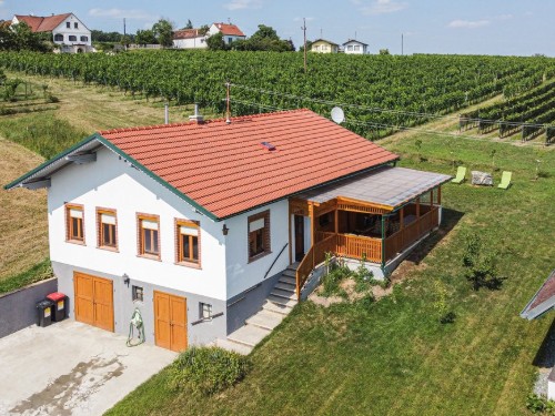 Feriehus - 8 personer -  - Oberer Weinweg - 7474 - Deutsch Schützen