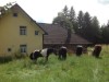 Bild 9 - Aussen