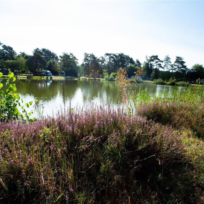 Ferielejlighed - 6 personer -  - An der Bundesstr. - 29614 - Soltau