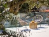 Bild 58 - Aussen