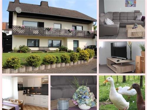 Ferielejlighed - 2 personer -  - Höhenweg - 54533 - Bettenfeld