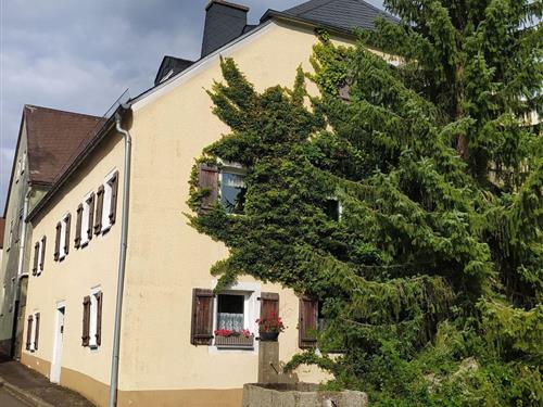 Ferieleilighet - 4 personer -  - Höchstädt - 95186