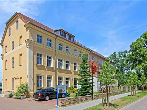 Ferienhaus - 5 Personen -  - Schillerstraße - 16831 - Rheinsberg