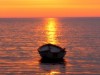 Billede 27