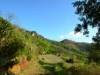 Billede 26