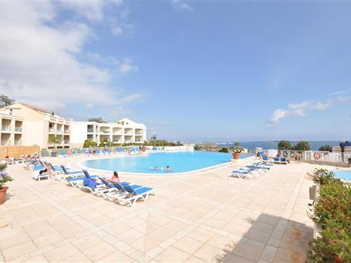 Ferielejlighed - 4 personer -  - Avenue Amiral Wester Wemyss - 06400 - Cannes