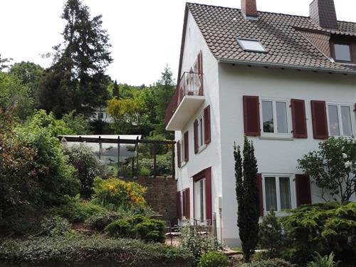 Ferienwohnung - 3 Personen -  - Nachtigallstr. - 67434 - Neustadt An Der Weinstraß