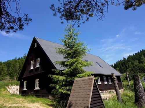 Feriehus / leilighet - 13 personer -  - Auerbacher Straße - 08248 - Klingenthal