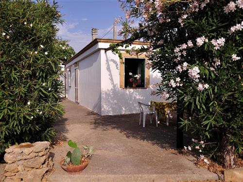 Holiday Home/Apartment - 4 persons -  - strada vicinale Patitari - 73014 - Gallipoli