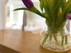 Bilde 20 - Inne