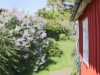 Bilde 11 - Ude