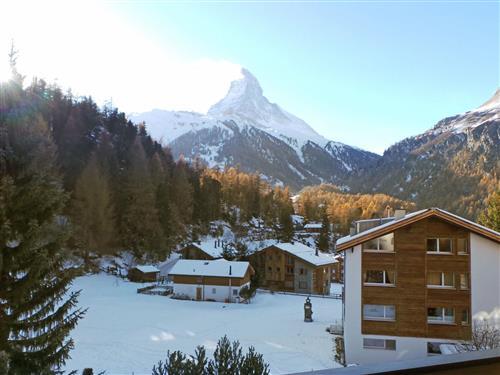 Ferienhaus - 4 Personen -  - Zermatt - 3920