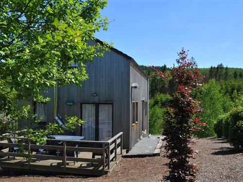 Fritidshus - 6 personer -  - 6660 - Houffalize