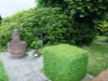 Bilde 5