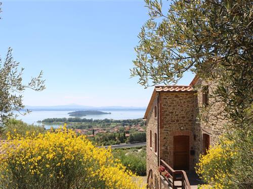 Holiday Home/Apartment - 5 persons -  - Via Campagna n. 4 Loc. Cerqua Sasso - 06065 - Passignano Sul Trasimeno