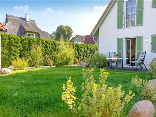 Ferielejlighed - 2 personer -  - Lindenweg - 17449 - Karlshagen