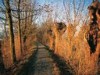 Image 22 - Outside
