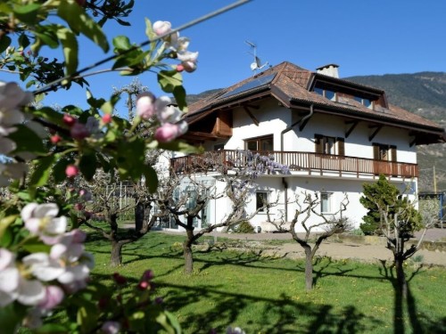 Ferienhaus - 4 Personen -  - 39100 - Bozen