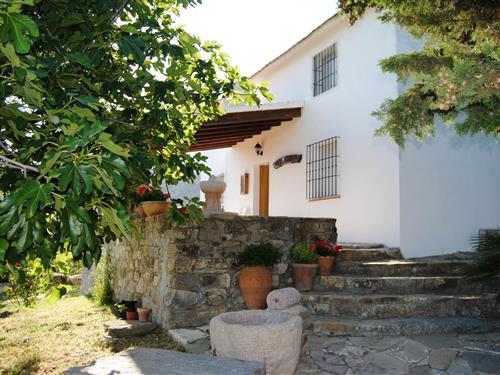 Cottage - 6 persons -  - 29230 - Villanueva De La Concepci