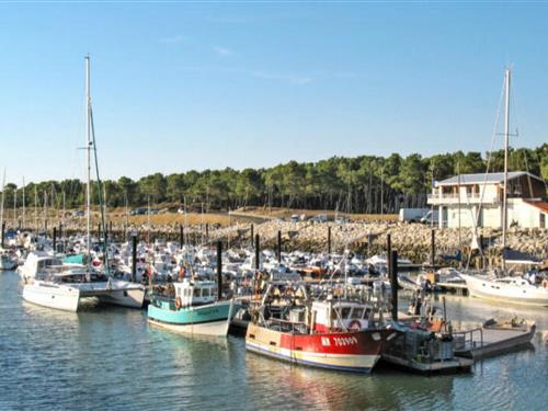 Semesterhus/Semesterlägenhet - 4 personer -  - 17640 - Vaux Sur Mer