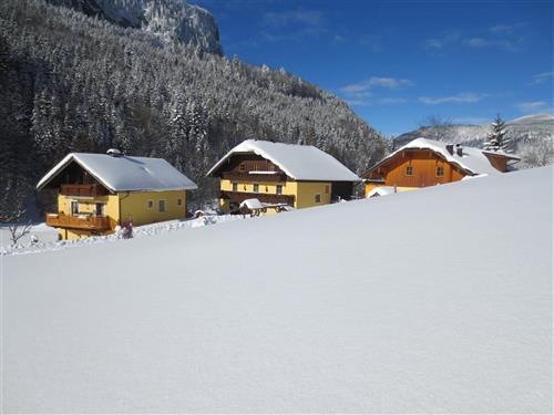 Bondegård - 2 personer -  - Lämmerbach - 5324 - Hintersee