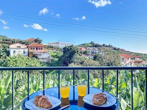 Sommerhus - 2 personer -  - 9000-001 - Funchal