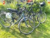 Billede 18