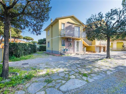 Ferielejlighed - 4 personer -  - Cecina - 53027