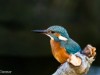 Billede 2