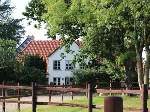 Feriehus - 9 personer -  - Langfeld - 24395 - Pommerby