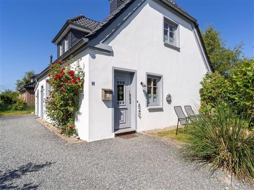 Ferielejlighed - 3 personer -  - Gröner Weg - 25826 - St. Peter-Ording