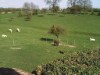 Bild 17