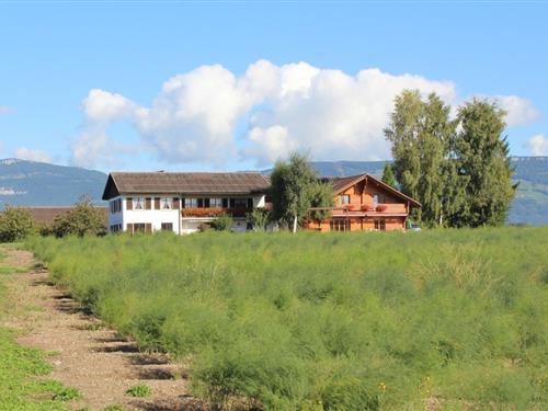 Sommerhus - 4 personer -  - Hüttelweg - 4553 - Subingen