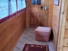 Billede 12