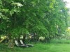 Bild 20