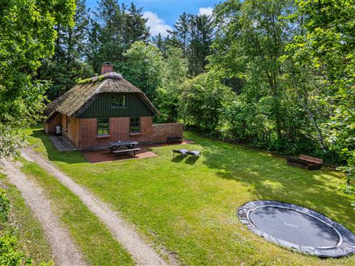 Sommerhus - 6 personer -  - Vester Mosevej - Vester Husby - 6990 - Ulfborg