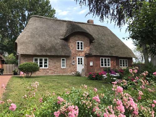 Ferienwohnung - 3 Personen -  - Buurnstrat - 25938 - Oevenum