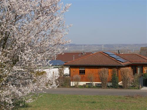 Ferieleilighet - 4 personer -  - An den Weingärten - 55450 - Langenlonsheim