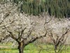 Image 23 - Outside